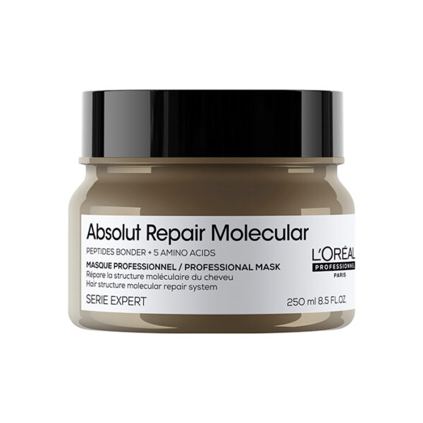 Oreal Serie Expert Absolut Repair Molecular Maschera 250ml