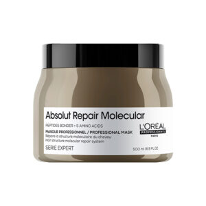 Oreal Serie Expert Absolut Repair Molecular Maschera 500ml