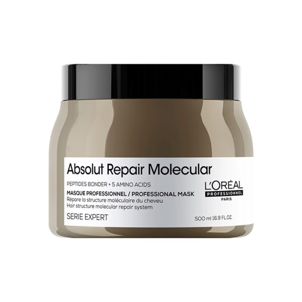 Oreal Serie Expert Absolut Repair Molecular Maschera 500ml