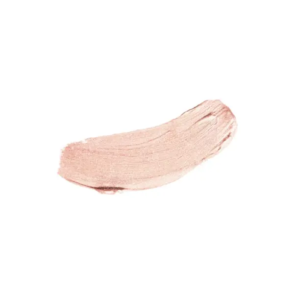 Diego Dalla Palma All In One - Highlighter n. 61- 4,5gr foto colore