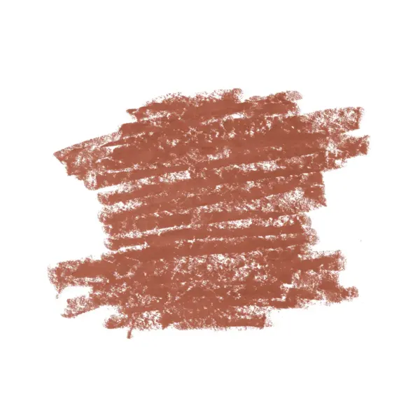 Diego Dalla Palma Lip Contour Kit - Matita N.502 foto 2