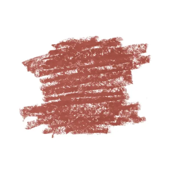 Diego Dalla Palma Lip Contour Kit - Matita N.503 fot 2