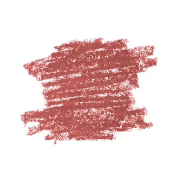 Diego Dalla Palma Lip Contour Kit - Matita N.505 foto 2